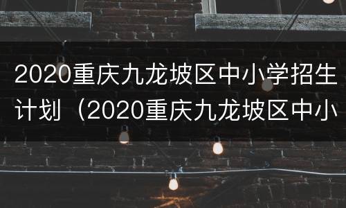 2020重庆九龙坡区中小学招生计划（2020重庆九龙坡区中小学招生计划公布）