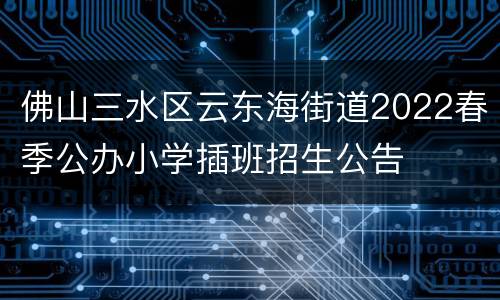 佛山三水区云东海街道2022春季公办小学插班招生公告