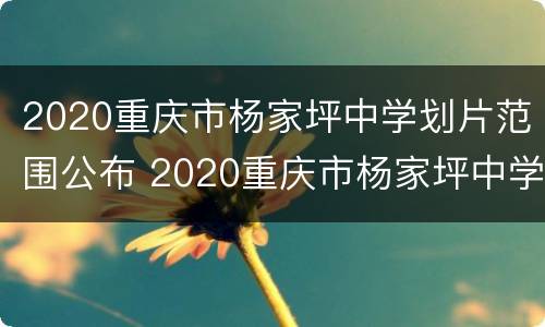 2020重庆市杨家坪中学划片范围公布 2020重庆市杨家坪中学划片范围公布图