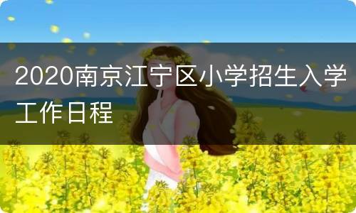 2020南京江宁区小学招生入学工作日程