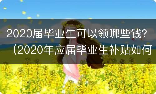 2020届毕业生可以领哪些钱？（2020年应届毕业生补贴如何领）