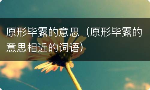 原形毕露的意思（原形毕露的意思相近的词语）
