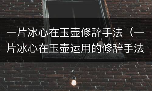一片冰心在玉壶修辞手法（一片冰心在玉壶运用的修辞手法）