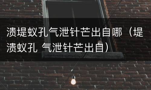溃堤蚁孔气泄针芒出自哪（堤溃蚁孔 气泄针芒出自）