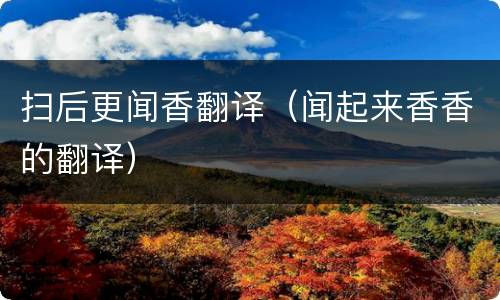 扫后更闻香翻译（闻起来香香的翻译）