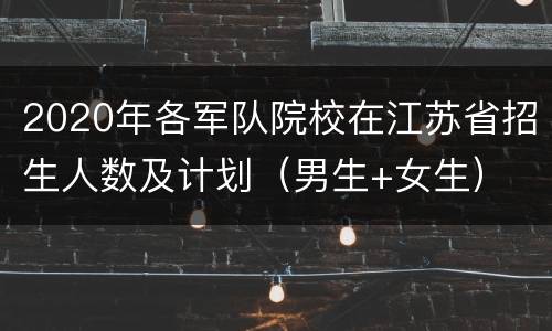 2020年各军队院校在江苏省招生人数及计划（男生+女生）