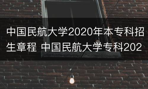 中国民航大学2020年本专科招生章程 中国民航大学专科2020招生简章