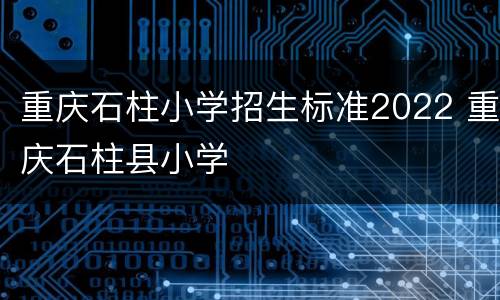 重庆石柱小学招生标准2022 重庆石柱县小学