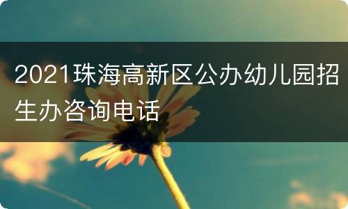 2021珠海高新区公办幼儿园招生办咨询电话