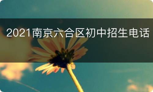 2021南京六合区初中招生电话
