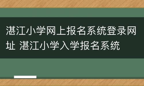 湛江小学网上报名系统登录网址 湛江小学入学报名系统
