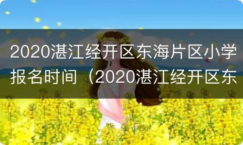 2020湛江经开区东海片区小学报名时间（2020湛江经开区东海片区小学报名时间表）