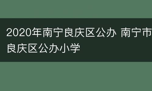 2020年南宁良庆区公办 南宁市良庆区公办小学