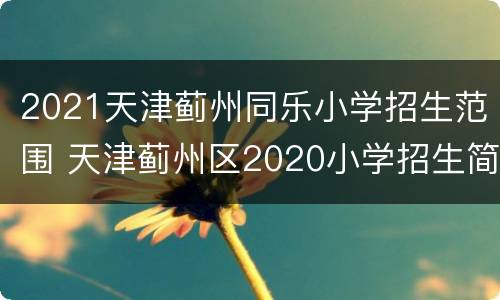 2021天津蓟州同乐小学招生范围 天津蓟州区2020小学招生简章