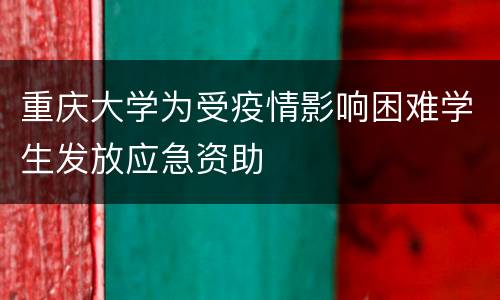 重庆大学为受疫情影响困难学生发放应急资助