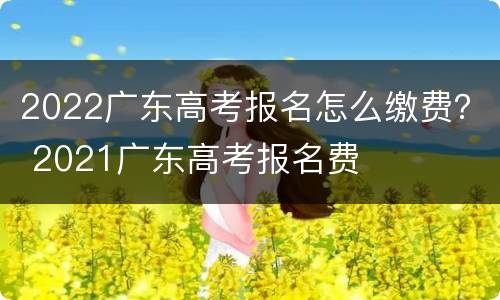 2022广东高考报名怎么缴费? 2021广东高考报名费