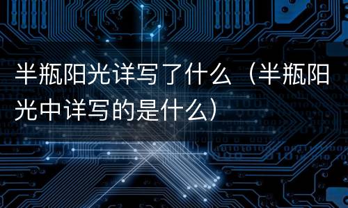半瓶阳光详写了什么（半瓶阳光中详写的是什么）
