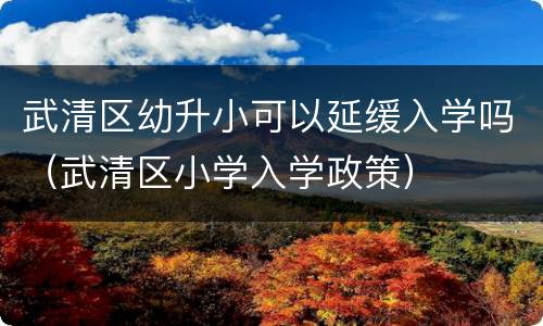 武清区幼升小可以延缓入学吗（武清区小学入学政策）