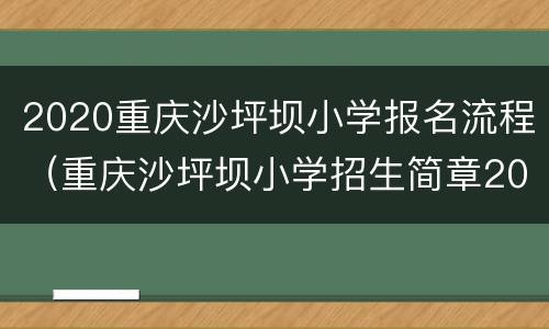 2020重庆沙坪坝小学报名流程（重庆沙坪坝小学招生简章2020）