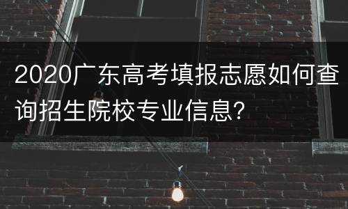 2020广东高考填报志愿如何查询招生院校专业信息？