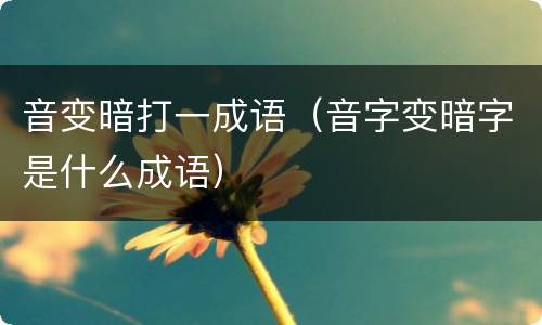 音变暗打一成语（音字变暗字是什么成语）