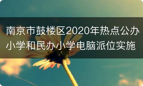 南京市鼓楼区2020年热点公办小学和民办小学电脑派位实施办法