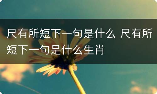 尺有所短下一句是什么 尺有所短下一句是什么生肖