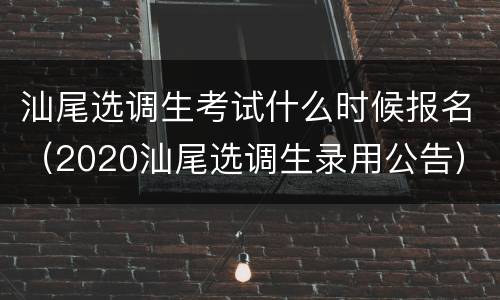 汕尾选调生考试什么时候报名（2020汕尾选调生录用公告）