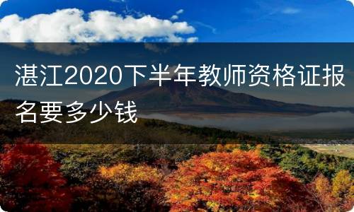 湛江2020下半年教师资格证报名要多少钱