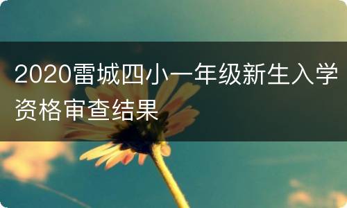 2020雷城四小一年级新生入学资格审查结果