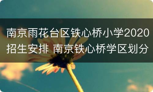 南京雨花台区铁心桥小学2020招生安排 南京铁心桥学区划分
