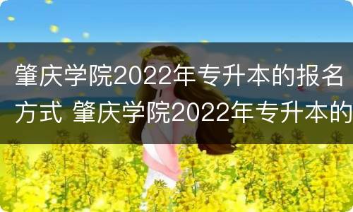肇庆学院2022年专升本的报名方式 肇庆学院2022年专升本的报名方式有哪些