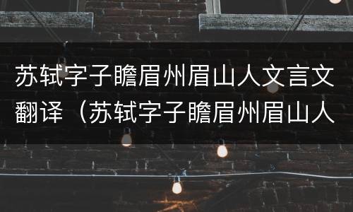 苏轼字子瞻眉州眉山人文言文翻译（苏轼字子瞻眉州眉山人文言文翻译写在本上的）