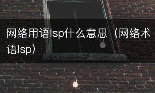 网络用语lsp什么意思（网络术语lsp）