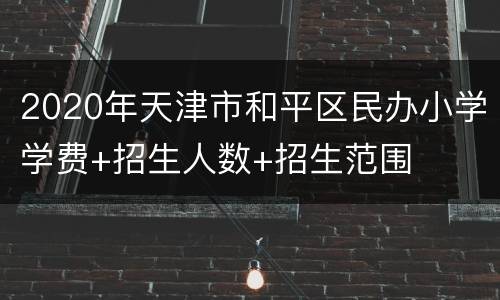 2020年天津市和平区民办小学学费+招生人数+招生范围