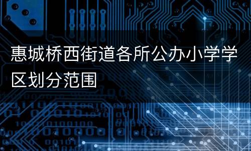 惠城桥西街道各所公办小学学区划分范围