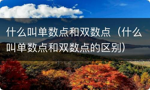 什么叫单数点和双数点（什么叫单数点和双数点的区别）