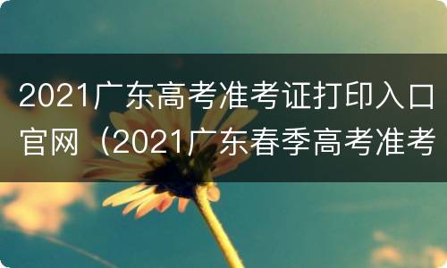 2021广东高考准考证打印入口官网（2021广东春季高考准考证打印入口）