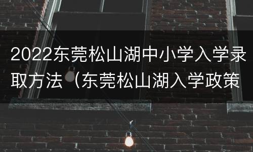 2022东莞松山湖中小学入学录取方法（东莞松山湖入学政策）
