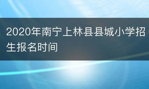 2020年南宁上林县县城小学招生报名时间