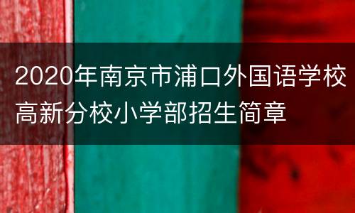 2020年南京市浦口外国语学校高新分校小学部招生简章