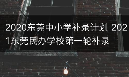 2020东莞中小学补录计划 2021东莞民办学校第一轮补录