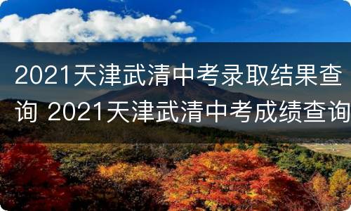 2021天津武清中考录取结果查询 2021天津武清中考成绩查询