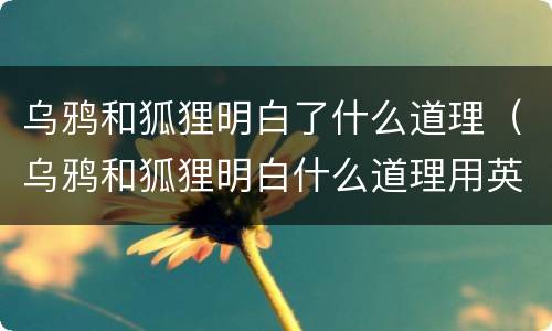 乌鸦和狐狸明白了什么道理（乌鸦和狐狸明白什么道理用英语写跟翻译）