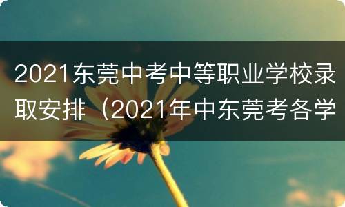 2021东莞中考中等职业学校录取安排（2021年中东莞考各学校录取分数线）