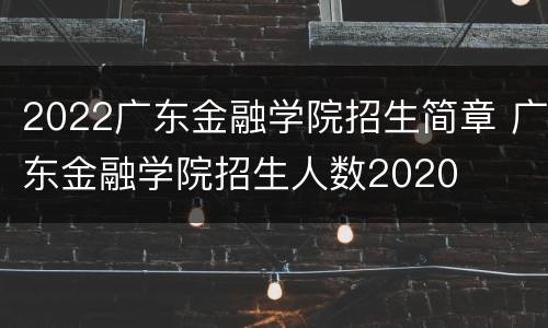 2022广东金融学院招生简章 广东金融学院招生人数2020