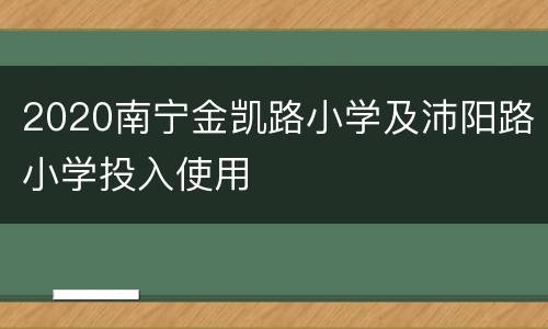 2020南宁金凯路小学及沛阳路小学投入使用