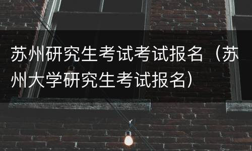 苏州研究生考试考试报名（苏州大学研究生考试报名）