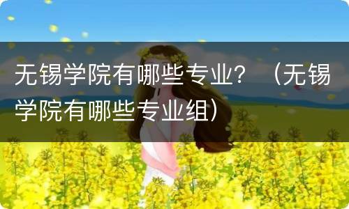 无锡学院有哪些专业？（无锡学院有哪些专业组）