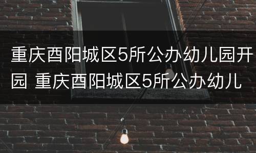 重庆酉阳城区5所公办幼儿园开园 重庆酉阳城区5所公办幼儿园开园了吗